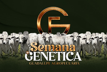 LEILÃO SEMANA DA GENÉTICA GUADALUPE AGROPECUÁRIA